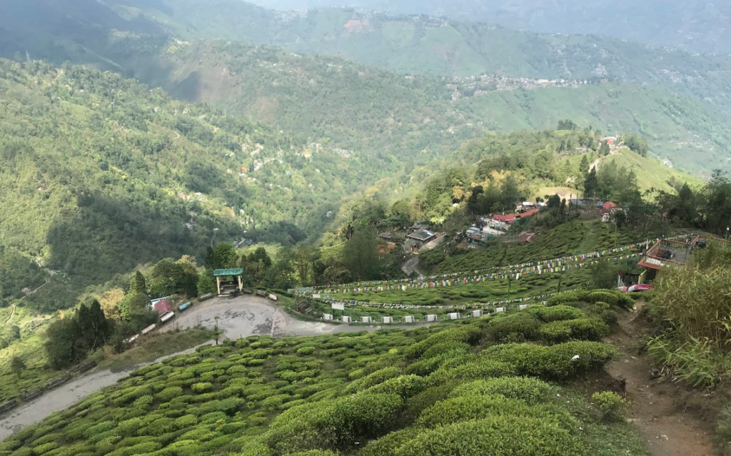 darjeeling tourist places