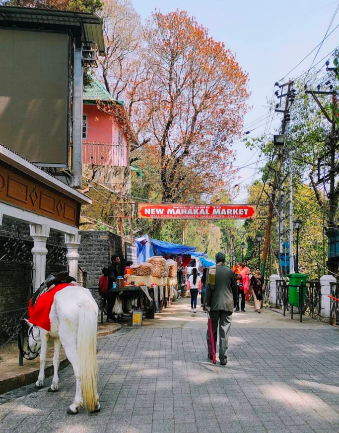 darjeeling tourist places