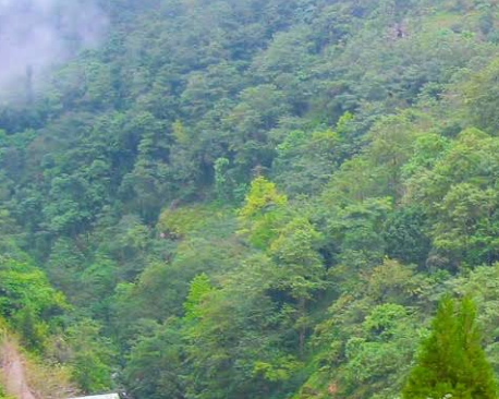 darjeeling tourist places