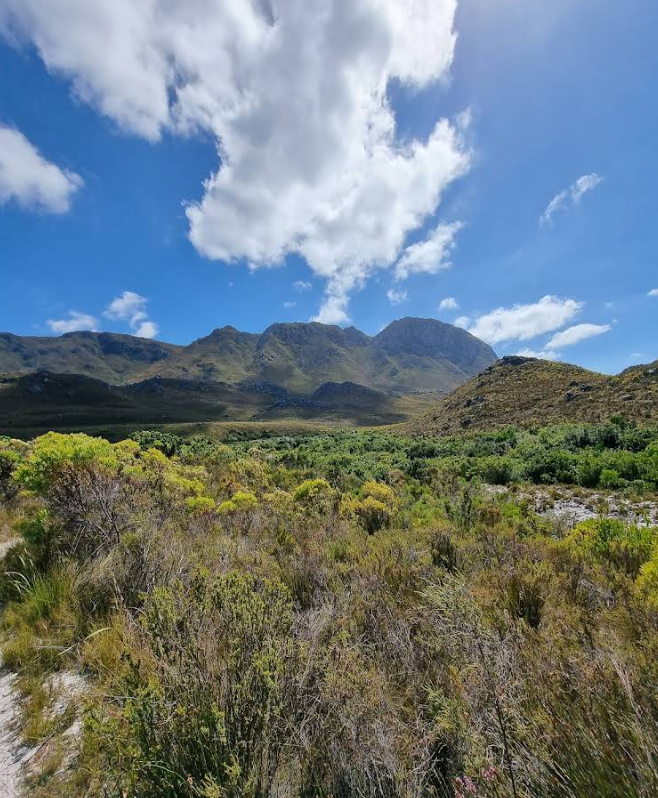 Kogelberg Nature Reserve 10