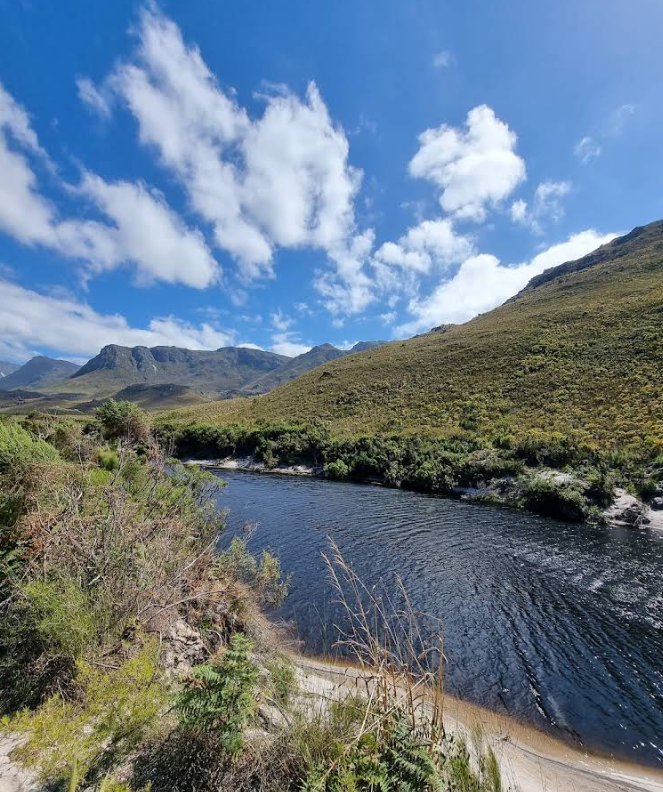 Kogelberg Nature Reserve 12