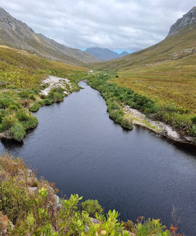 Kogelberg Nature Reserve 16