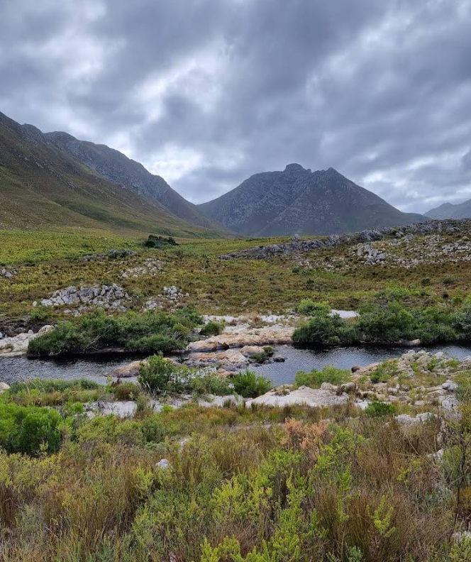 Kogelberg Nature Reserve 17