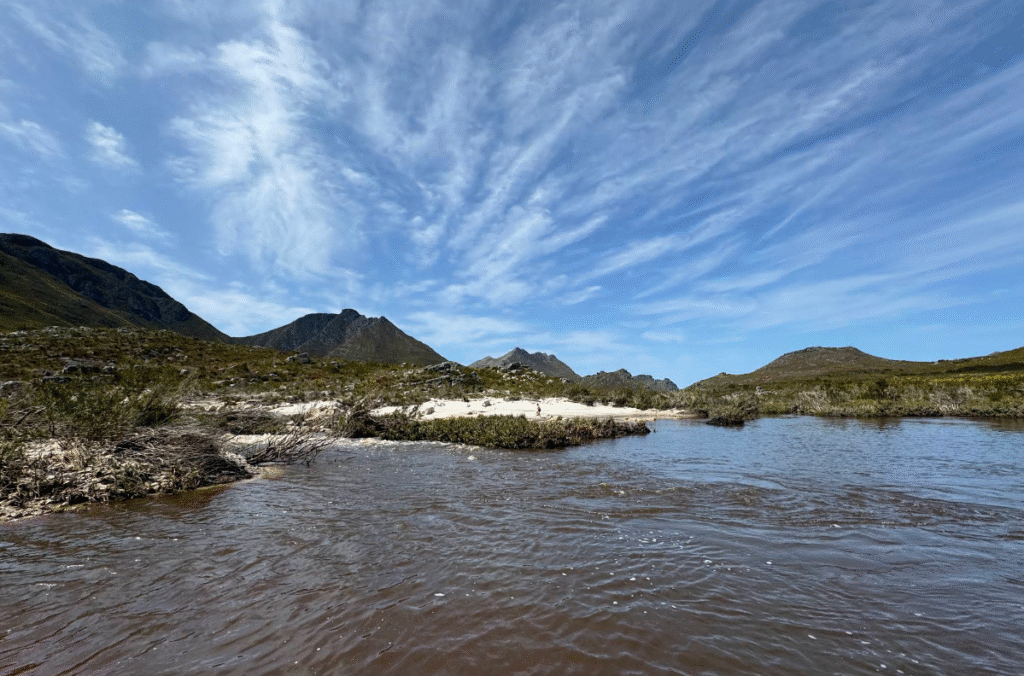 Kogelberg Nature Reserve 23