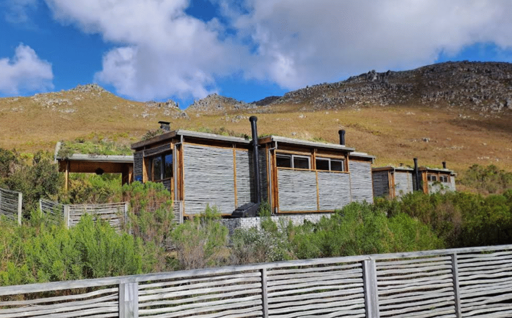 Kogelberg Nature Reserve 28