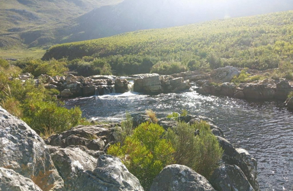 Kogelberg Nature Reserve 5 Kogelberg Nature Reserve